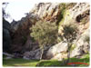 El Peñón-2005