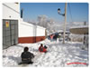 Diversión En La Nieve
