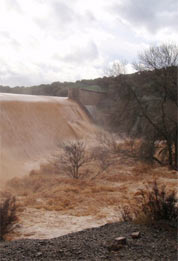 Presa de Fresnedas