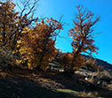 Paisaje otoal en el Llano